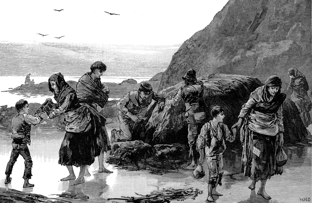 19th-century engraving of a family searching the shore for food during the Irish famine