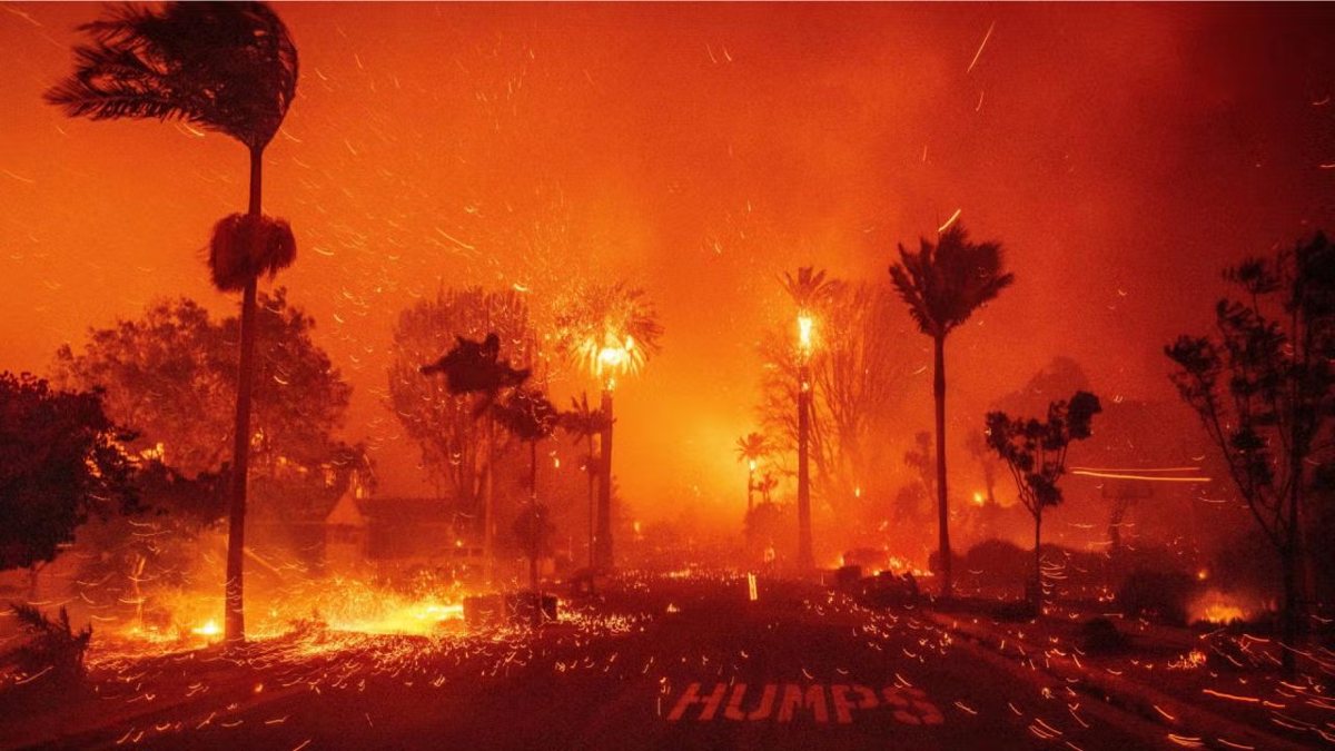 Palm trees burning and embers blowing across a street at night during the Palisades fire